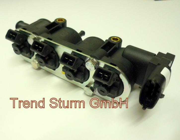 Landi Renzo Rail 4 Zylinder grün mit Sensor  67R-010234